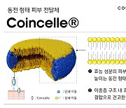 코스맥스 "피부 침투력 높인 신규 전달체 '코인셀' 개발"