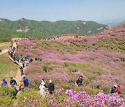 '치유·힐링·레저' 명소 합천군, 웰니스 관광도시로 주목