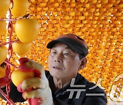 '겨울철 별미, 함양곶감 만들어요'