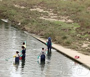 폐사 물고기 치우는 구청 직원들