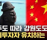 [자막뉴스] 부작용에도 똑같이...제주도 답습하는 정부 대책