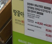 "배춧값 더 오를라"...절임배추·포장김치는 '완판' 행렬