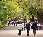 [내일날씨]완연한 가을날…낮 기온 대부분 20도 안팎