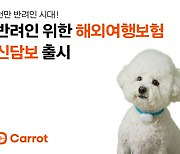 "천만 반려인 시대"...캐롯, 반려인 위한 해외여행보험 신담보 출시