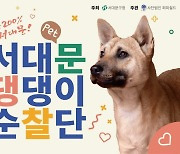 서대문구, 제1기 ‘댕댕이 순찰단’ 출범…“반려견과 함께 지역 안전 순찰”