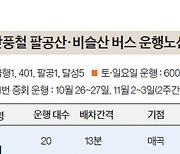 팔공산·비슬산 단풍 구경 갈 때 맞춤형 버스 타면 편해요