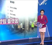 공정거래위원회 캠핑장·휴양림 플랫폼 불공정 이용약관 시정 (10.29) [브리핑 인사이트]