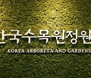 '건전성 확보 내부통제 진단 완료'… 29일 한수정 소식