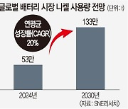 ‘포스트 캐즘’ 대비하는 배터리 거인들… 인니서 니켈 확보전