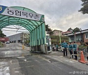 전북·경기·제주 잇단 고병원성AI…농식품부, 가금 사업체 방역 강화