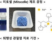 세라믹기술원, 프러시안 블루 기반 관절염 치료제 '미토셀' 개발