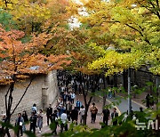 덕수궁 돌담길에 물들어가는 단풍