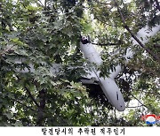 [속보]국정원 "北 무인기 평양 침투 주장, 남남갈등과 내부결속 의도"