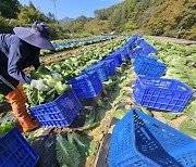 농촌 체류형 쉼터, 12년+α 이용 가능해진다