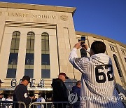 World Series Baseball