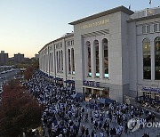 World Series Baseball