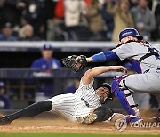 World Series Baseball