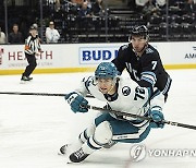 Sharks Utah Hockey