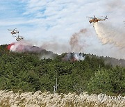 '산불 꼼짝마'…산불 진화 헬기의 위력