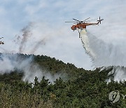 '산불 꼼짝마'…산불 진화 헬기의 위력