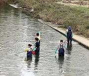 물고기 집단폐사 수거