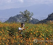 NEPAL TIHAR FESTIVAL