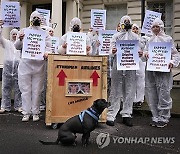 Britain Protest