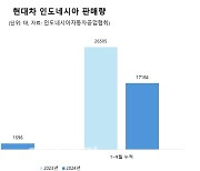 캐즘·中 공세에 현대차 인니 판매 반토막…"하이브리드로 파고 넘는다"