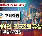 고려아연, 2.5조원 유상증자...발행가 주당 67만원