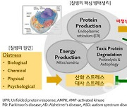 엠디헬스케어,국내최초 세포외소포(EV) 치료제 임상시험계획 승인