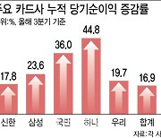 3분기 웃은 카드사, 비용절감·프리미엄 전략 통했다…보험사도 당기순익 쑥