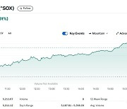 엔비디아 0.52% 상승에 그쳤는데 반도체지수는 2.31%↑(상보)