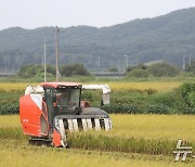 '전통주' 주세 경감 확대…쌀 소비 감소에 '가공산업 육성' 대안