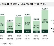 인구감소지역, 체류인구가 등록인구 4.8배…양양군 17.4배 최다