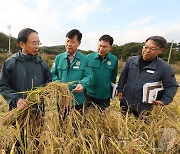 심민 임실군수 "쌀 대체 작물로 가루쌀 재배 확대할 것"