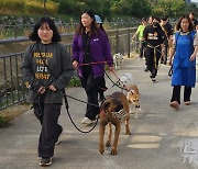 "보호동물도 올바른 산책 필요"…둥글개봉사단-풀무원식품, 봉사활동