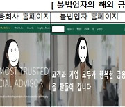 멕시코 회사채 투자로 고수익 현혹해…금감원 "불법투자자금 모집 주의"