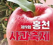 "홍천 사과 꿀맛이죠"...홍천사과축제 11월1일 개최