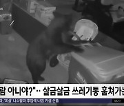 [이 시각 세계] "사람 아니야?"‥살금살금 쓰레기통 훔쳐가는 곰