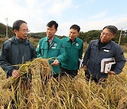 임실군, 가루쌀 재배 확대 추진한다