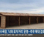 삼척해수욕장, ‘너와 포차거리’ 운영…추후 확대 검토