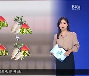 [같이경제] ‘기후플레이션’에 먹거리 비상…“장기 대책 필요”