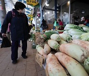 배추 이어 이번엔…"김장, 골치 아프네" 50년 만에 벌어진 일