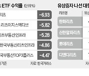 리츠 ETF 찬바람…잇단 유상증자가 발목