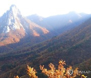 설악산 단풍, 관측 이래 가장 '지각'..."이제야 절정"