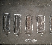 제주4·3 희생자 추정 유해 4구 수습…신원확인 절차 진행