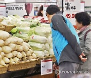 가을무 재배면적, 1년 전보다 19.4% ↓…김장철 수급 불안 우려 커지나