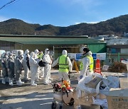 ‘올 게 왔다’… 강원도서 올 가을 첫 고병원성 AI 발생