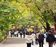 전국 대체로 맑아…낮 최고 19∼24도