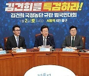 민주당, '명태균 게이트 진상조사단' 설치